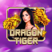 Dragon Tiger at Spintime Casino