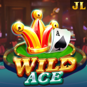 Wild Ace Slot at Spintime Casino